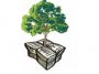 «Сдай макулатуру – сохрани дерево»